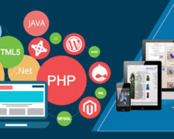 Which technology for website development