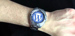 Wordpress Developer